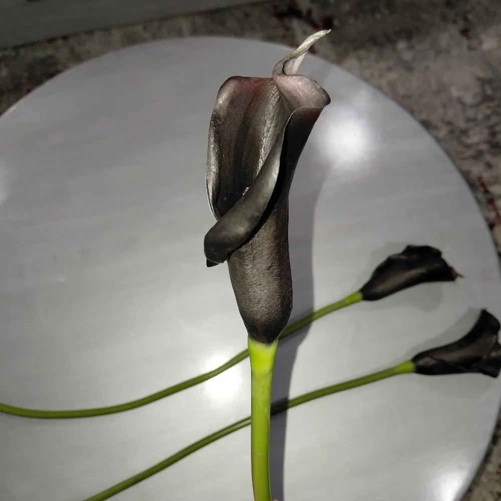 Bundle Of 3 Black Real Touch Faux Calla Lily Stem - 25